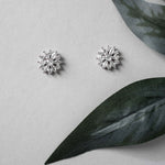 Bridal Flower Stud Earrings - Earrings - Cassandra Lynne
