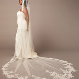 Cathedral Bridal Veil with Intricate Floral Lace Woman wearing a wedding dress with a long, lace-trimmed veil on a brown background
