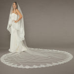 Two Layer Chantilly Lace Cathedral Bridal Veil Bride wearing a long, elegant wedding dress with a matching veil against a plain background