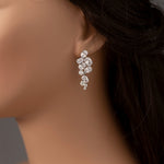 CZ Earrings of Oval Cluster Drop Silver - Cassandra Lynne