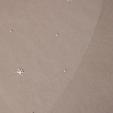 Fingertip Mantilla Veil with Pearl Clusters and Scatter Close-up of a textured beige surface with small decorative elements.