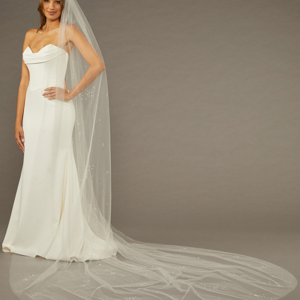Cathedral Veil with Scattered Clusters of Crystal Beads Woman wearing a wedding dress with a long veil against a brown background