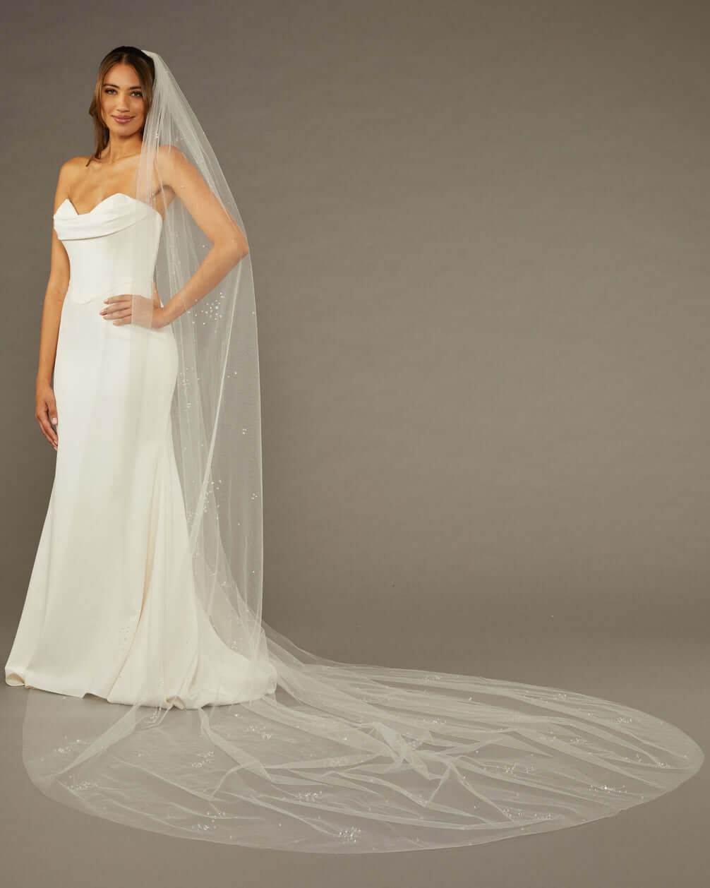 Cathedral Veil with Scattered Clusters of Crystal Beads Woman wearing a wedding dress with a long veil against a brown background