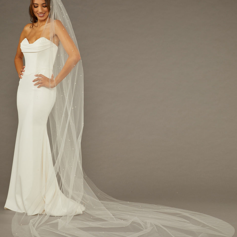 Reverse Pearl Scatter Bridal Veil Cathedral Length Woman wearing a wedding dress with a long veil against a brown background