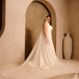Wide Mantilla Cathedral Veil with Floral Lace Cassandra Lynne -A bride wearing a long wedding gown with a sheer veil and a very long train, standing in a warm beige architectural setting with an arched doorway and a large vase in the background.