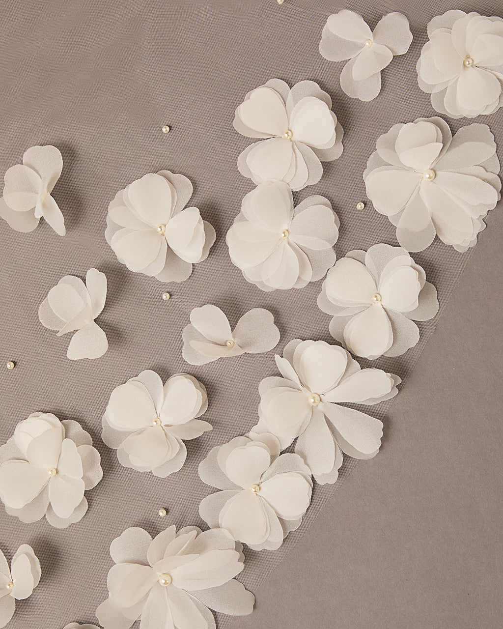White flowers with pearl centers scattered on a beige background