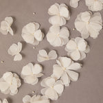 White flowers with pearl centers scattered on a beige background