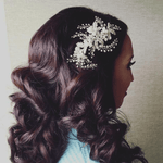 Bridal Headpiece Clip of Jewel Sprays and Pearls - Hair Clips - Cassandra Lynne