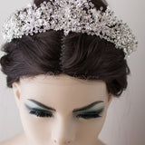 Bridal Tiara of Ivory Frosted Flowers and Jewels - Tiara - Cassandra Lynne