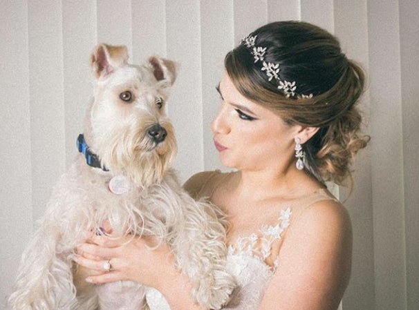 Clip - On CZ Vine Pear Drop Wedding Earrings - Earrings - Cassandra Lynne